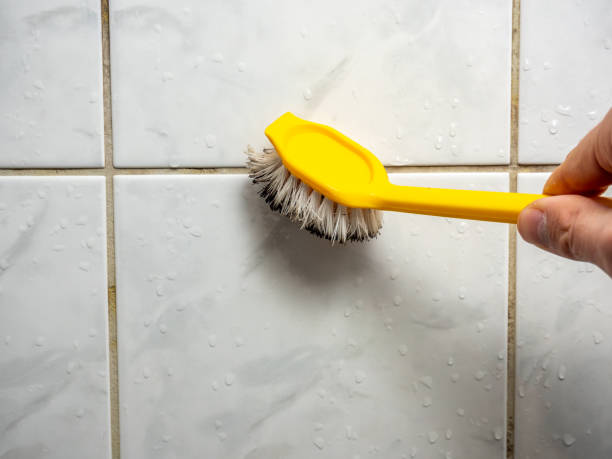 Best Residential Mold Removal  in Fridley, MN