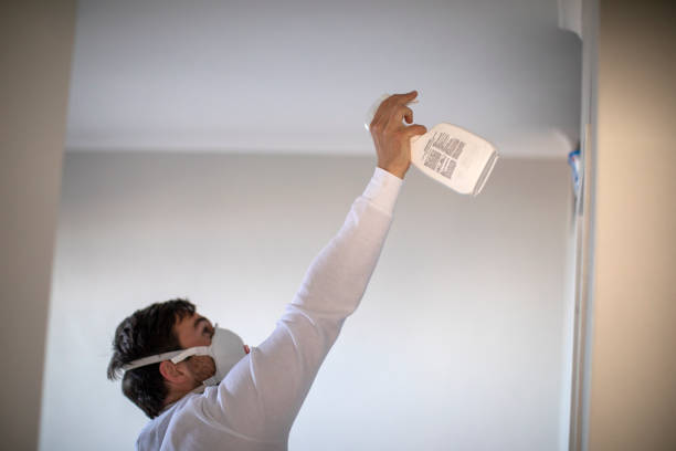 Best Local Mold Removal Service  in Fridley, MN