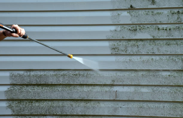Best Certified Mold Removal  in Fridley, MN