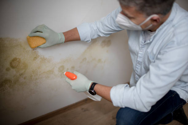 Water Damage Restoration in Fridley, MN